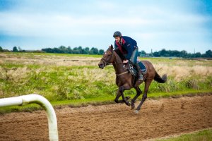 Exercising ECG Gallop.jpg