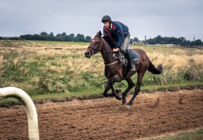 Exercising ECG Gallop.jpg