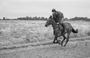 Exercising ECG Gallop.jpg