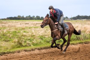 Exercising ECG Gallop-Edit-2.jpg