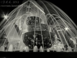 pav2 (2688 x 2016).jpg