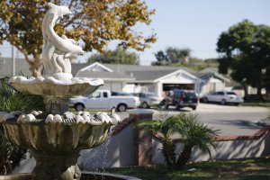 _Y1C4396 trimmed.jpg