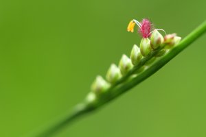 IMG_5652.JPG