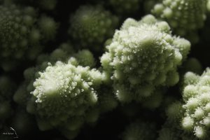 Romanesco_Cauliflower.jpg