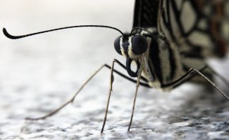 IMG_1162 copy SMALL.jpg