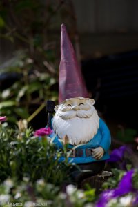 Gnome-2915.jpg