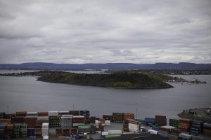 50mm on a 5 D II (3 of 10).jpg