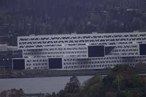 1600mm 800mm + 2x III converter on a 5 D II (8 of 10).jpg