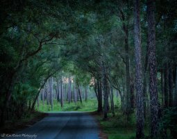 Wekiva Springs-- dpp- dpp3.JPG
