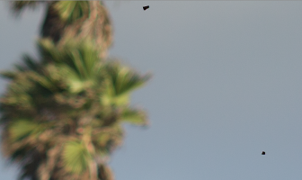 Screen shot 2012-10-22 at 1.55.52 AM.png