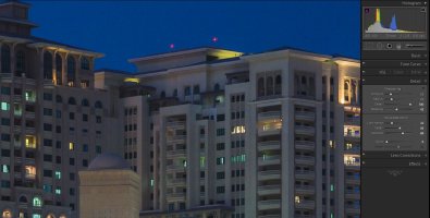 1Dx ISO100  NR Lum22  crop100% - normalized to human vision.JPG