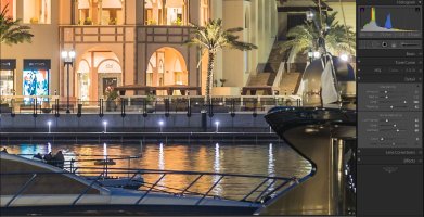 1Dx ISO100  NR Lum22  crop100%  area 2- normalized to human vision.JPG