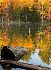 IMG_7657-1 resize.jpg