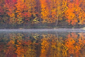 IMG_7828-1 resize.jpg