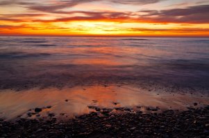 IMG_7892-1 resize.jpg