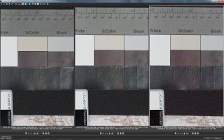 1dx vs 6d vs 5d3 resized 12800.jpg