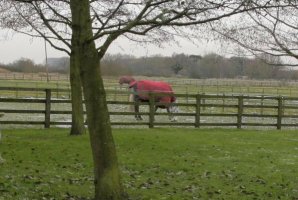 24mm crop to 105.jpg