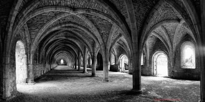 Cellarium Fountains B&WSFC.jpg