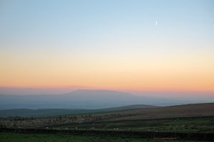 End of Day SettleSFC.jpg