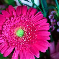 Developed 10 xx 2000 (13)-Edit.jpg