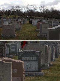 TS-E 24L + 2xIII.jpg