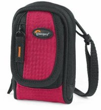 Lowepro Ridge 20 case.jpg