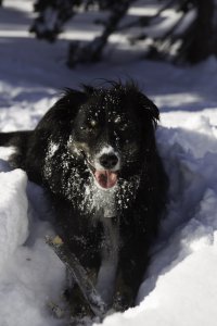 130101-untitled005.jpg