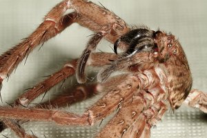 2012-11-24-19.03.16 ZS PMax_edited-1.jpg