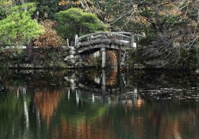 CT7P0275-Edit copy.jpg