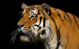 IMG_3120 (1).jpg