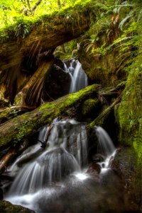 IMG_1759_62_tonemapped-5 (Large).jpg