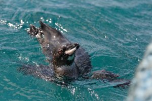 IMG_3823_DxO (Large).jpg