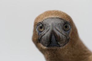 IMG_3137_DxO (Large).jpg