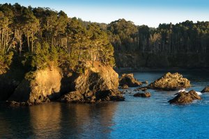 20130116 Tamron 70-300 Office Testing_4474.jpg