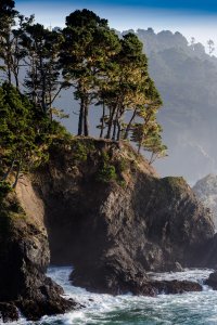 20130119 Canon 70-300 Russian Gulch_0312.jpg