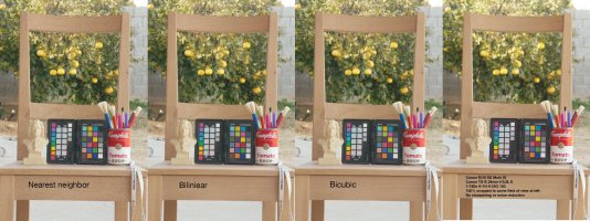 Format size comparison with different resampling.jpg