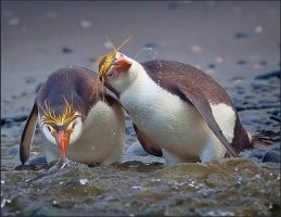 Taking a Drink copy.jpg