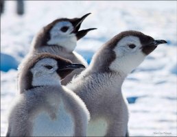 Lunch ! Now ! copy.jpg