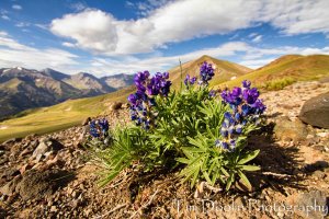 Meeteetse 2012--10.JPG