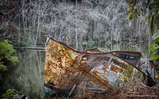 Prairie Princess--2.JPG