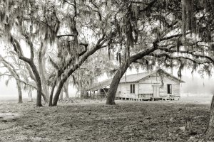 44b Eustis-FL-p11-3- dpp5.JPG