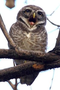 Let us take a break.jpg