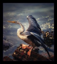 Cleared For Takeoff2.JPG