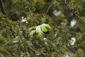 IMG_3878 [1024x768].jpg