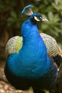 IMG_3902 [1600x1200].jpg