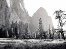 Yosemite 2006.jpg