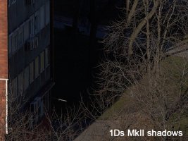 VB8R2881-shadows.jpg