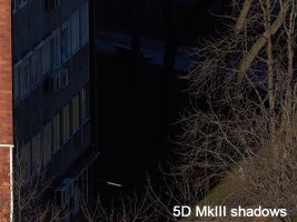 E49B2882-shadows.jpg