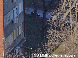 E49B2882-pullshadows.jpg