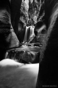 _MGL9507 copy B&W.jpg